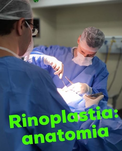 Rinoplastia: anatomia